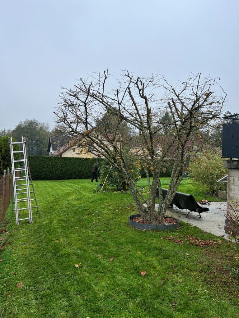 entreprise_stelhy_espace_vert (1)