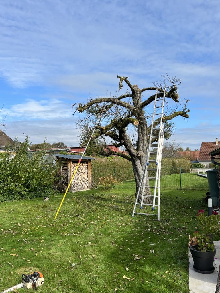 entreprise_stelhy_espace_vert (4)