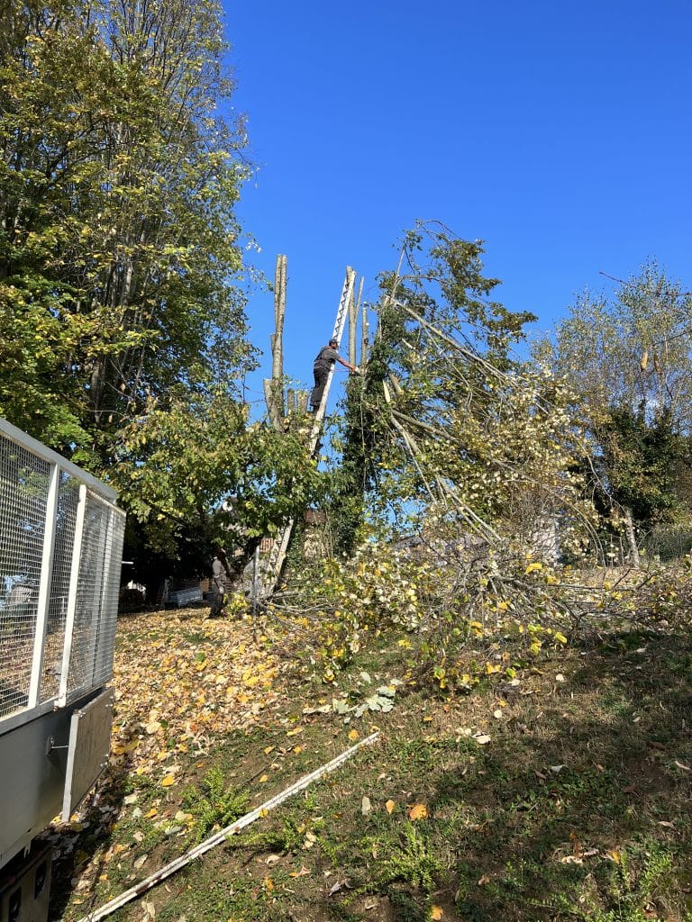 entreprise_stelhy_espace_vert (5)