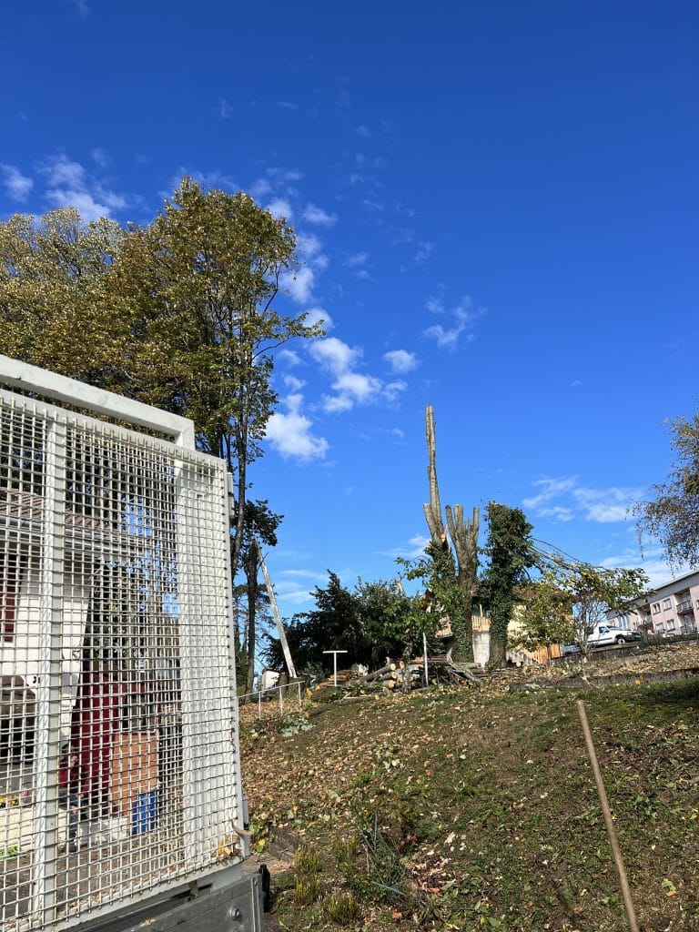 entreprise_stelhy_espace_vert (6)