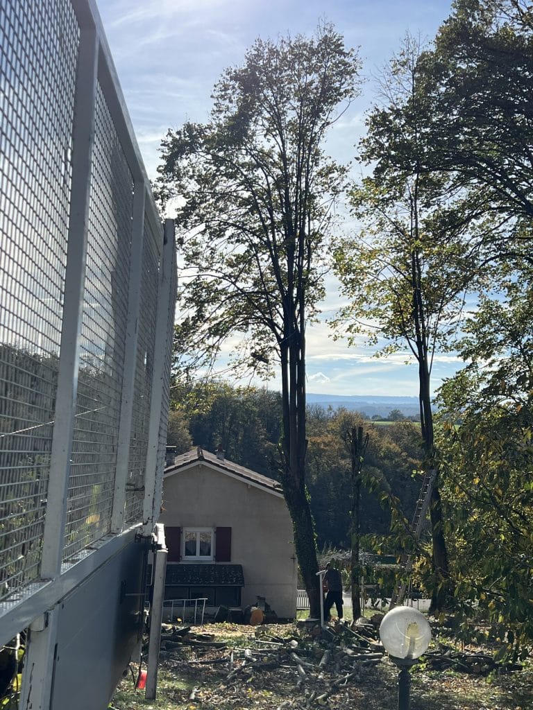 entreprise_stelhy_espace_vert (7)