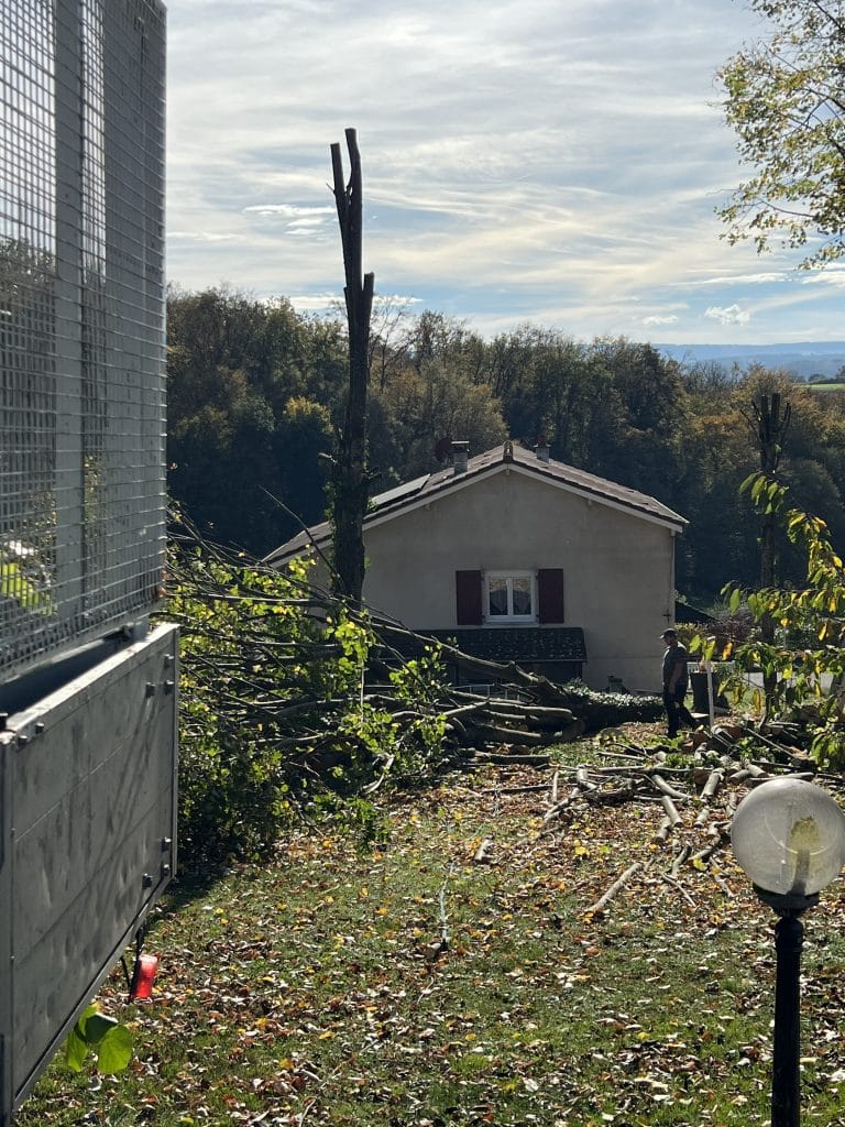 entreprise_stelhy_espace_vert (8)