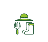 Taille d’arbres fruitiers