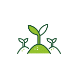 Déracinage de haies